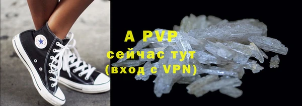 стаф Белокуриха