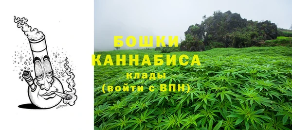 стаф Белокуриха