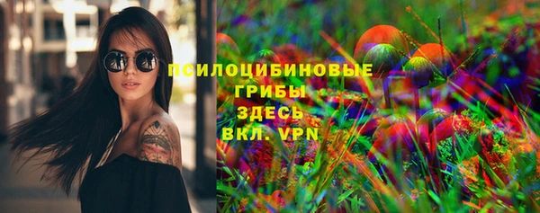 стаф Белокуриха