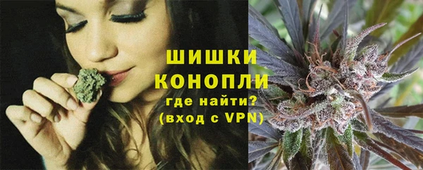 стаф Белокуриха