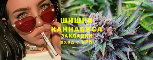стаф Белокуриха