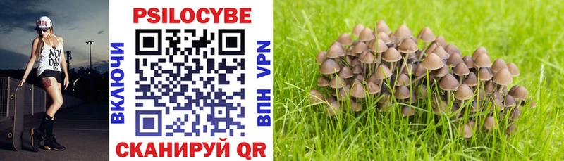 Псилоцибиновые грибы прущие грибы  mega онион  Красноуфимск 